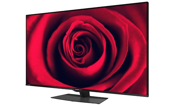 60 Inch 8K TV 8T-C60DW1X | Sharp Singapore